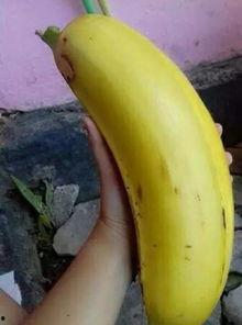 大香蕉国产91,揭秘国产影视的崛起之路 第1张 大香蕉国产91,揭秘国产影视的崛起之路 第1张